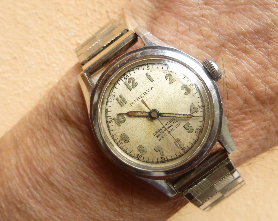 minerva (6).jpg minerva (6).jpg