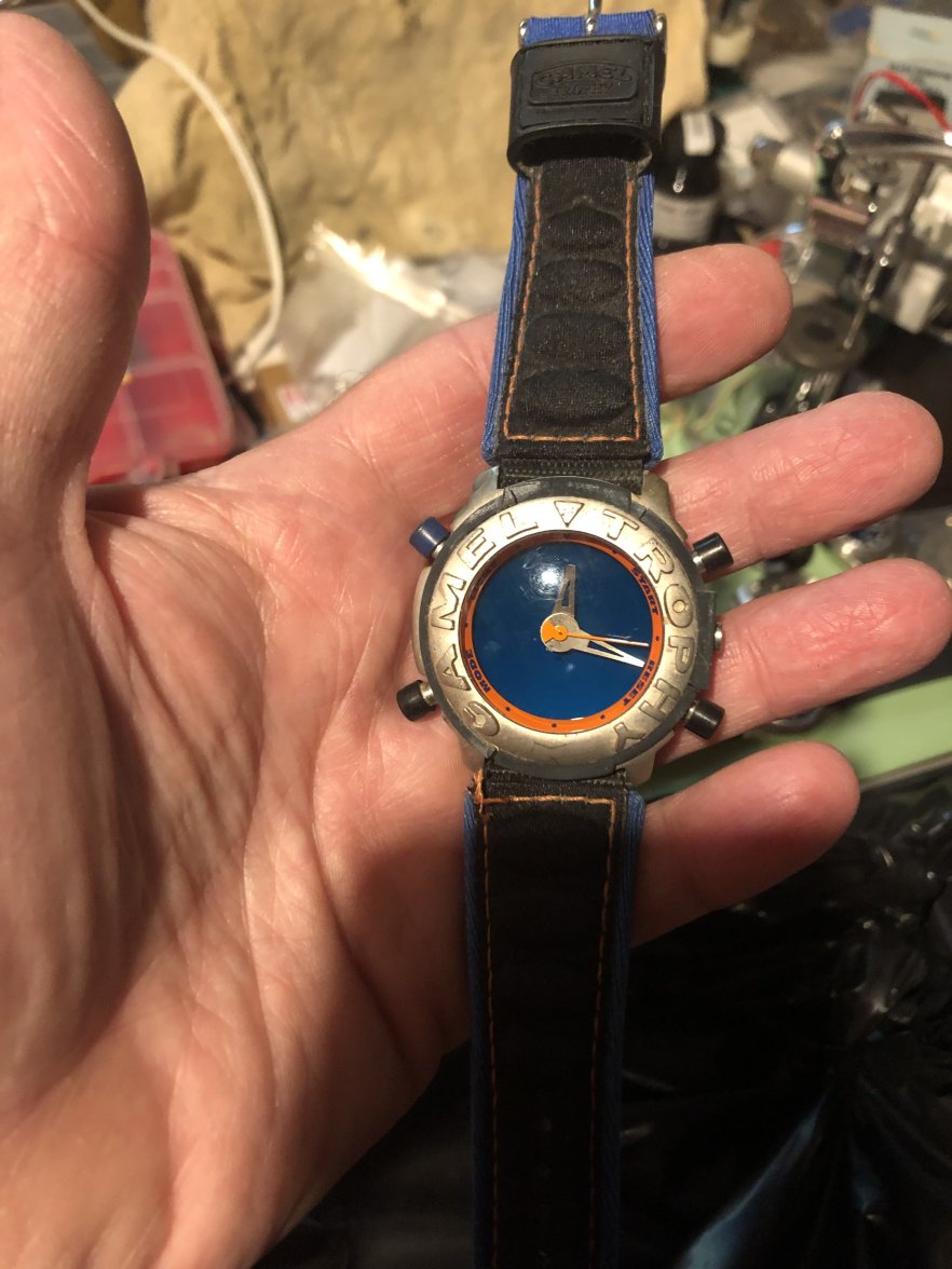 IMG_8494.jpeg IMG_8494.jpeg