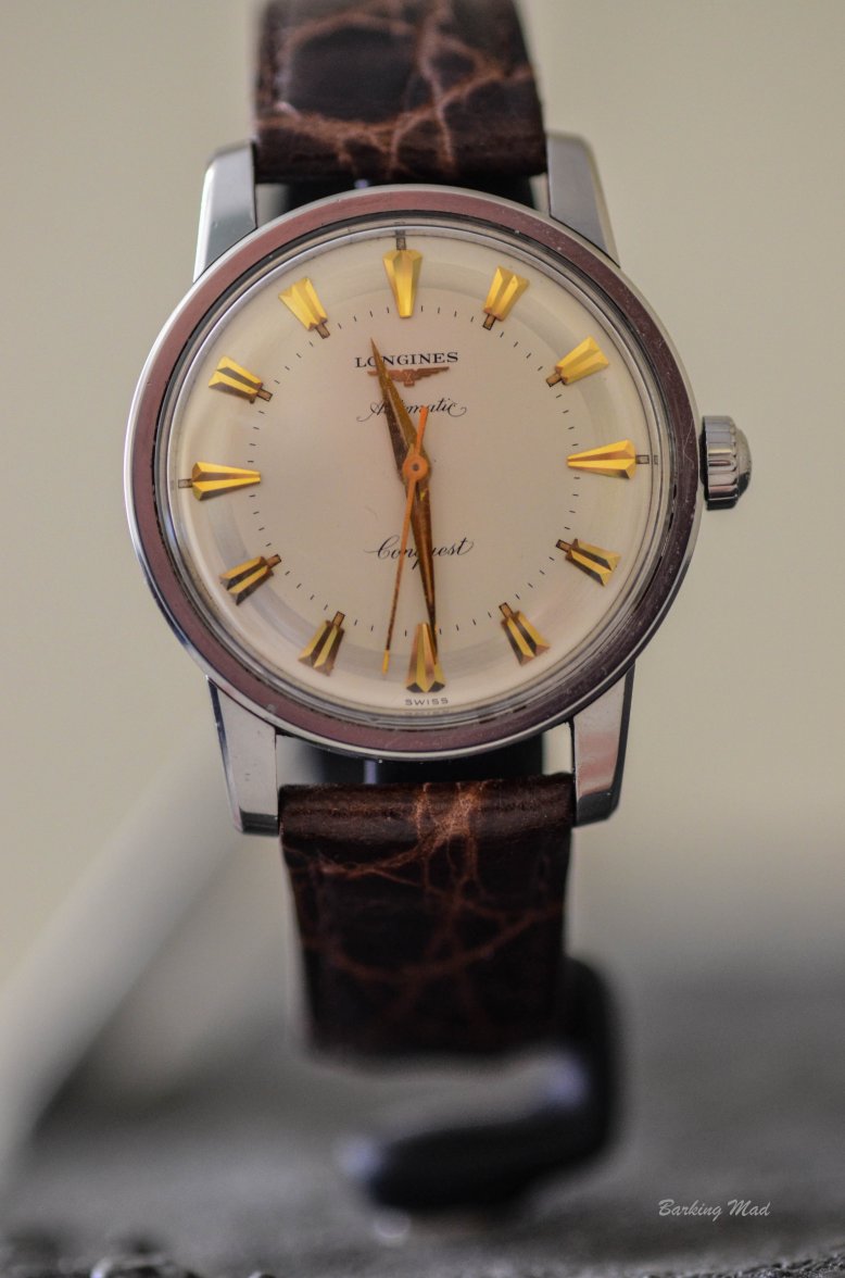 DSC_9484.jpg DSC_9484.jpg