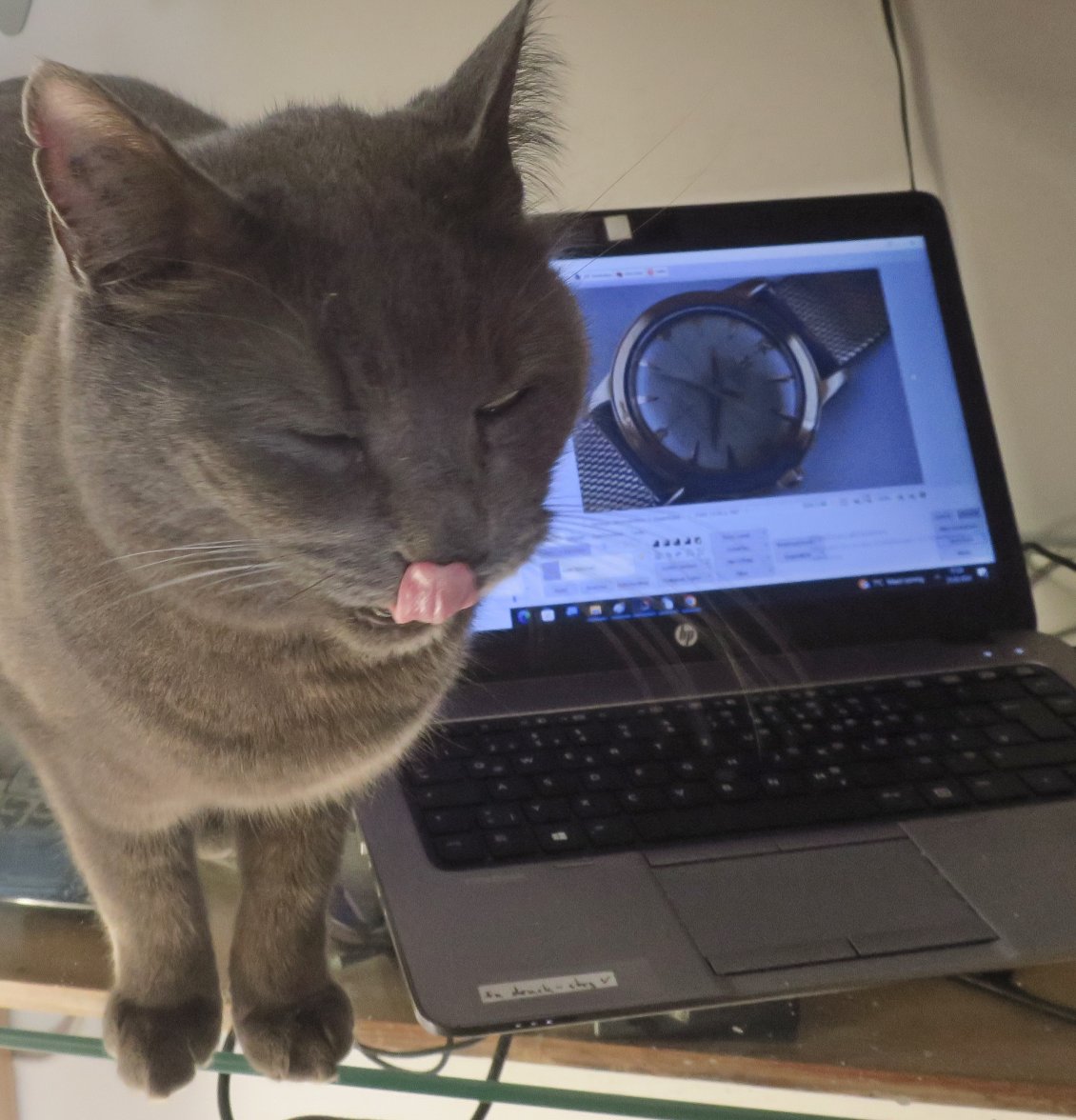 IMG_1869a omega m.JPG