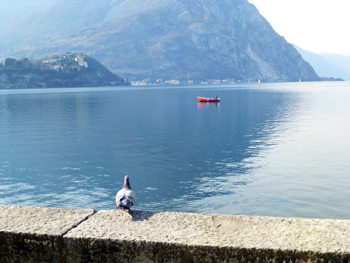 lecco.jpg