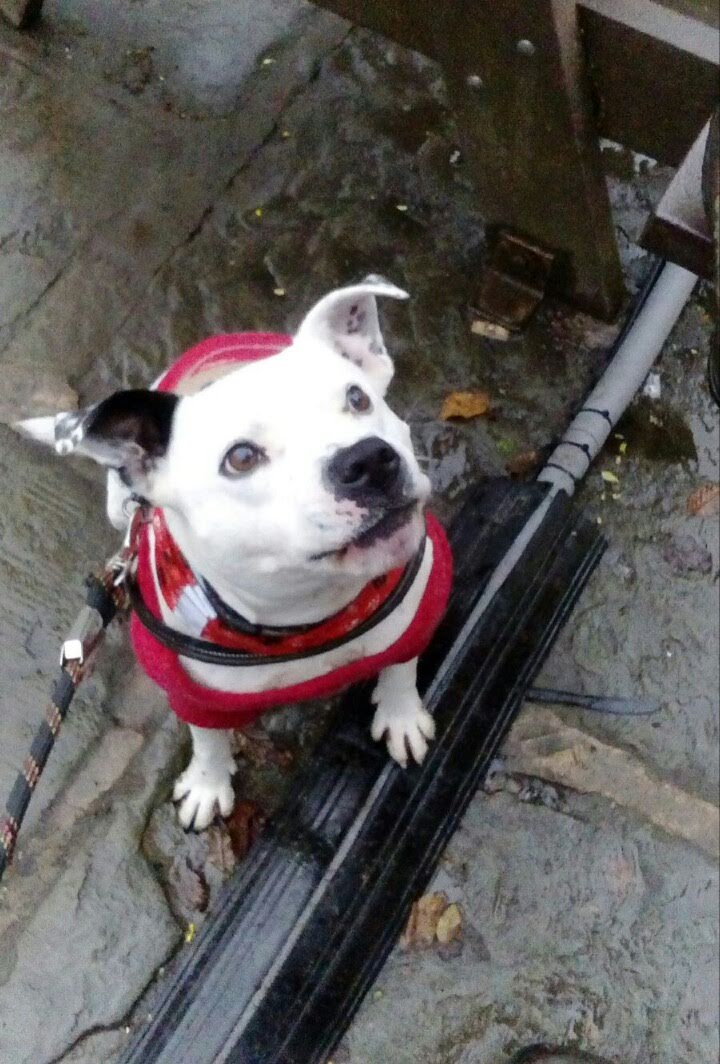 _20190215_105451.JPG _20190215_105451.JPG