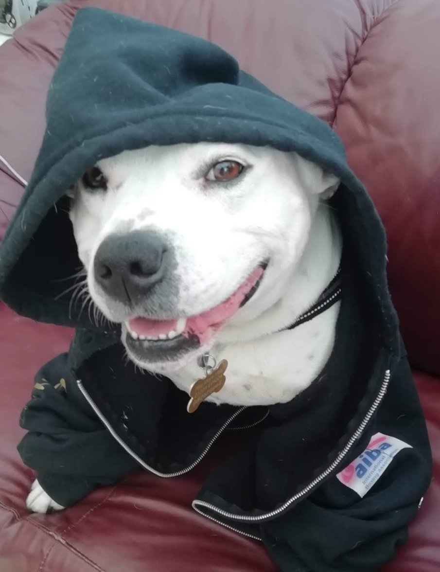 IMG-20190330-WA0006.jpg IMG-20190330-WA0006.jpg