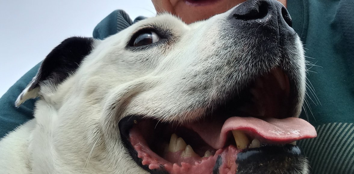 20240412_143127.jpg 20240412_143127.jpg