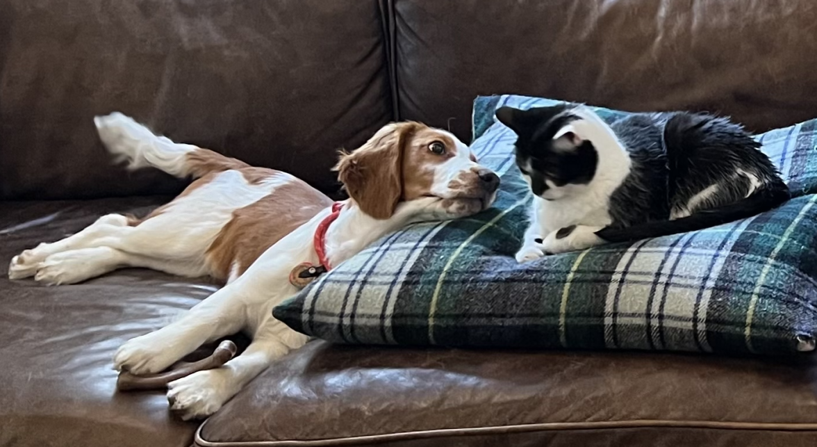 Screenshot 2024-05-02 at 2.50.11 PM.png Screenshot 2024-05-02 at 2.50.11 PM.png