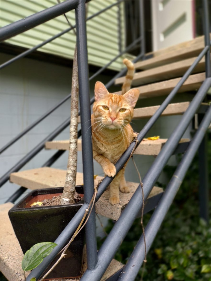 c51975c8-a408-4c91-96cc-661c746c145b.jpeg c51975c8-a408-4c91-96cc-661c746c145b.jpeg