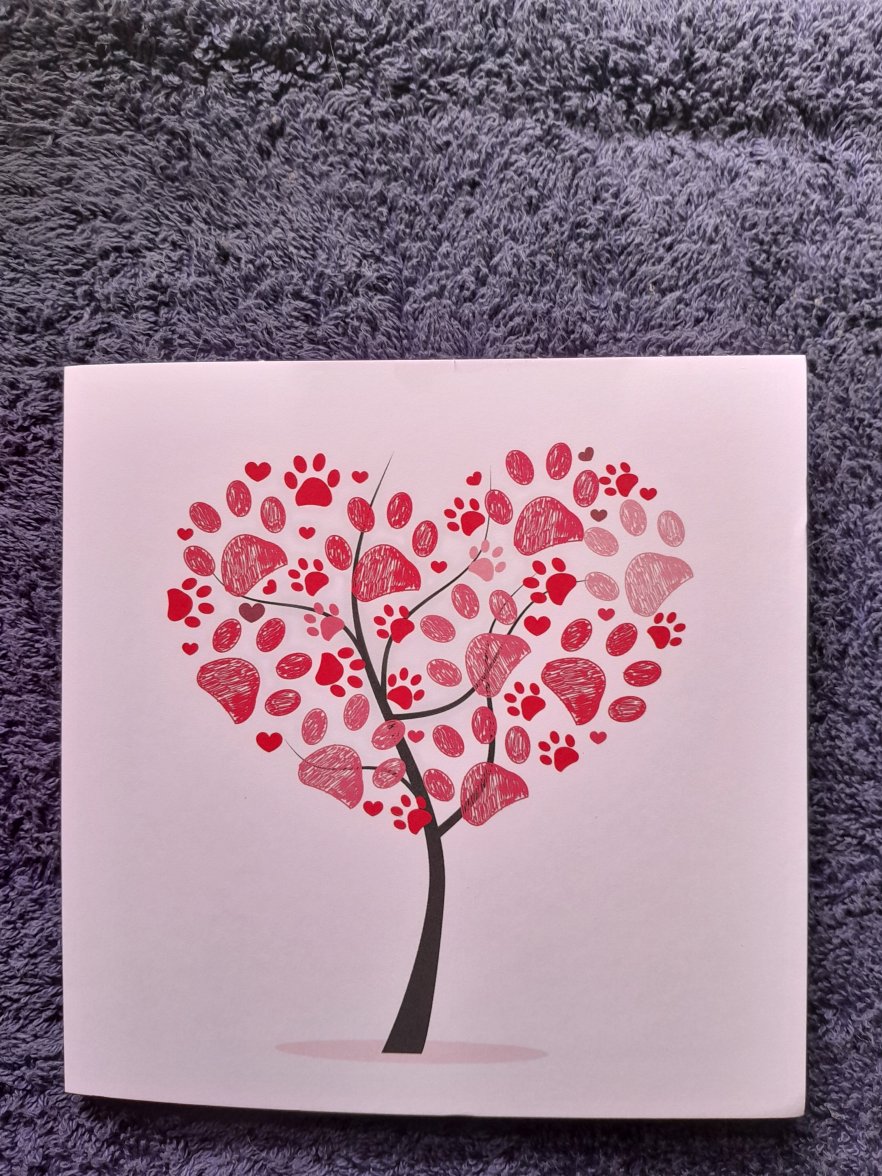 ISA CARD 1 0424.jpg ISA CARD 1 0424.jpg