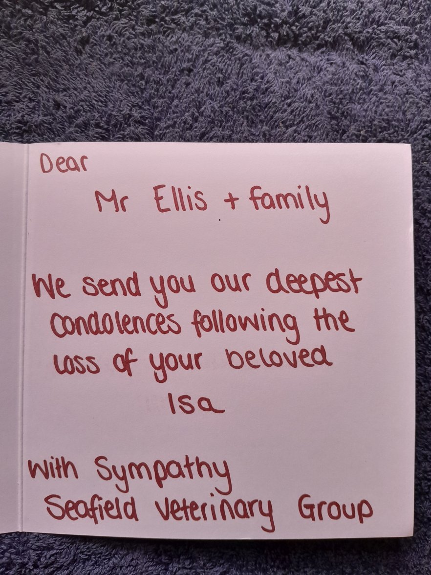 ISA CARD 2 0424.jpg ISA CARD 2 0424.jpg