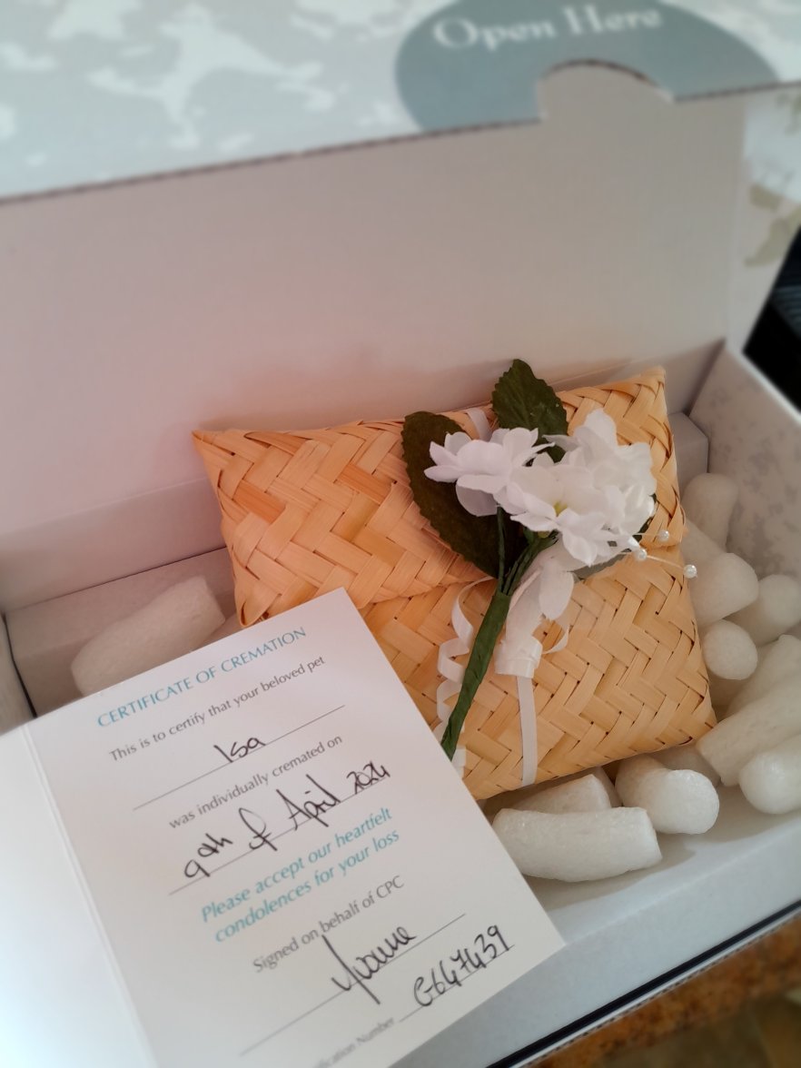 ISA HOME 220424.jpg ISA HOME 220424.jpg