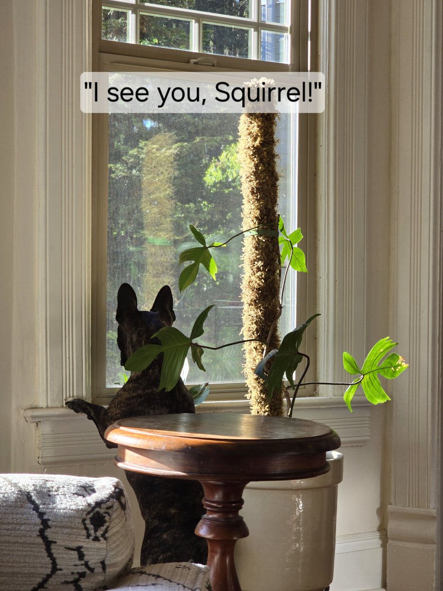 1000011255.jpg 1000011255.jpg