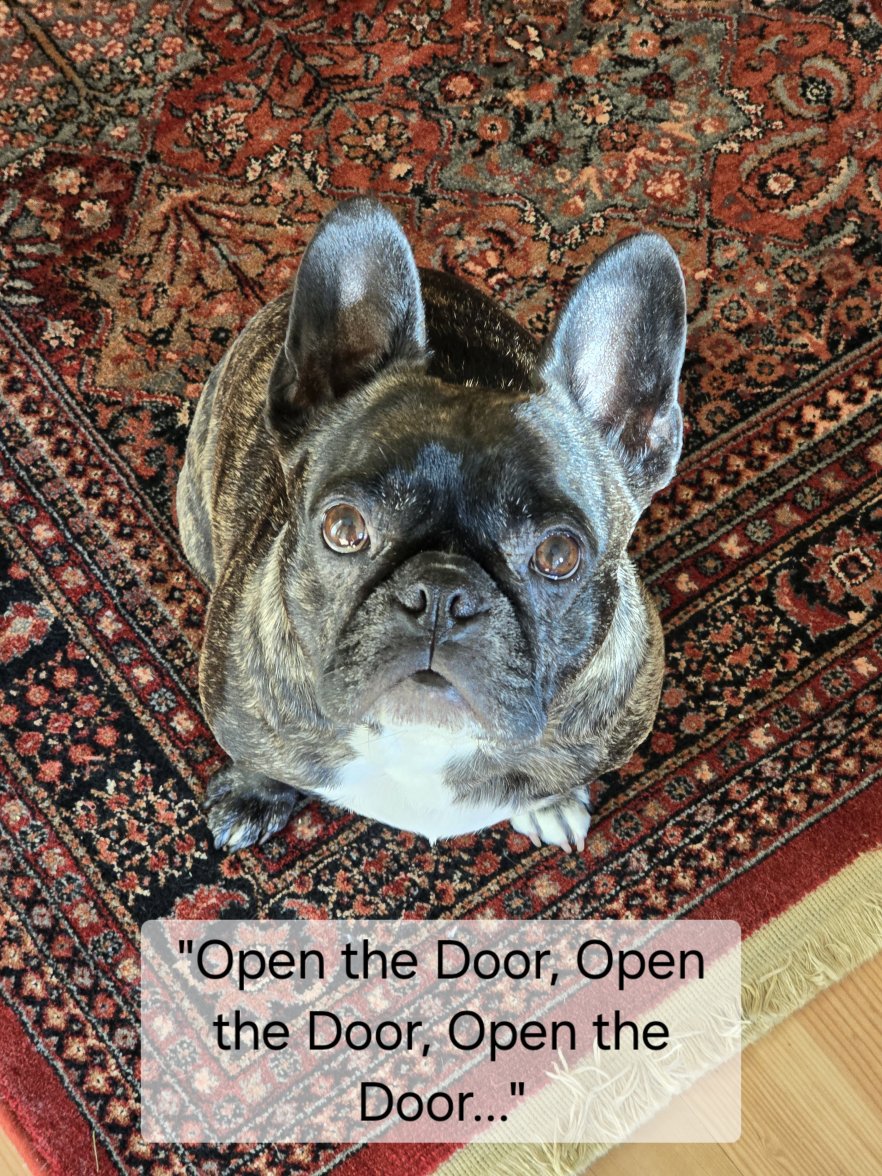 1000011256.jpg 1000011256.jpg