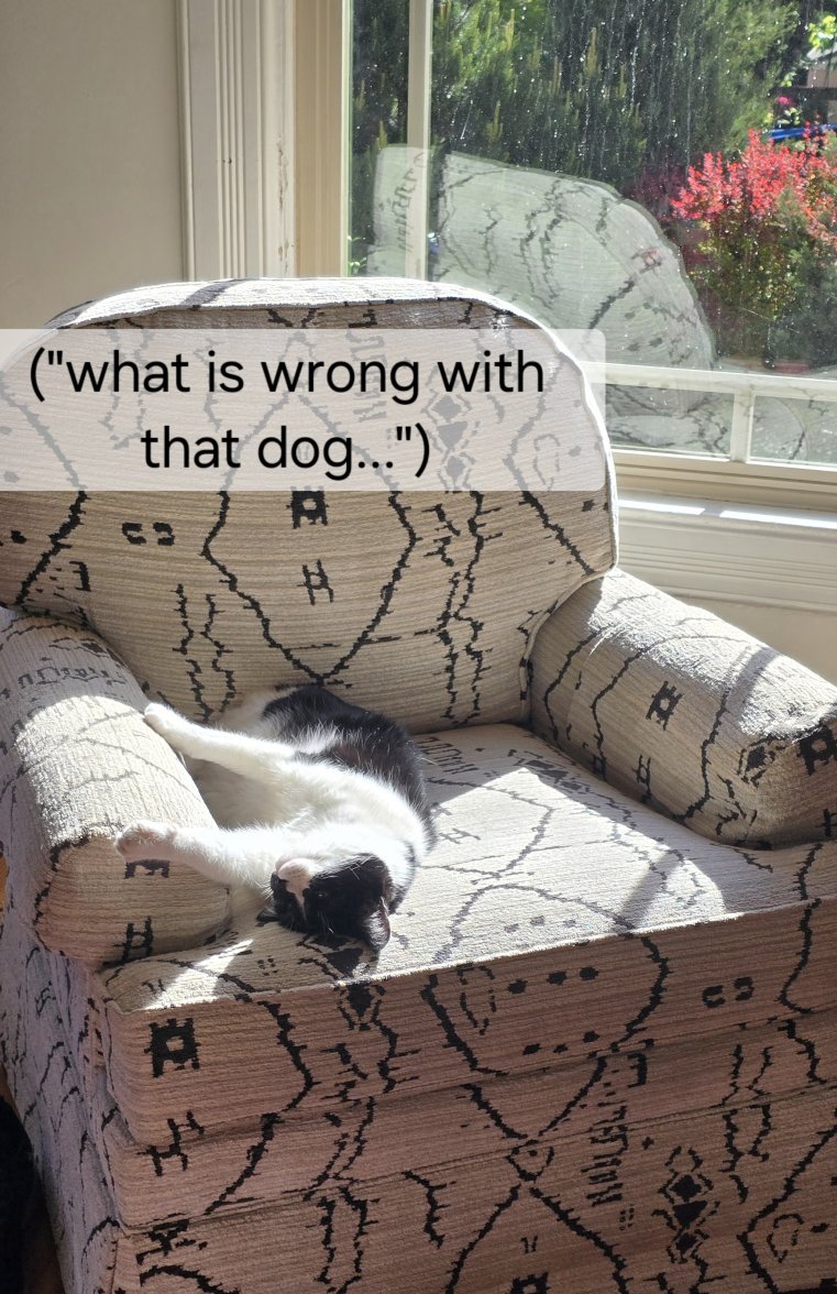 1000011263.jpg 1000011263.jpg