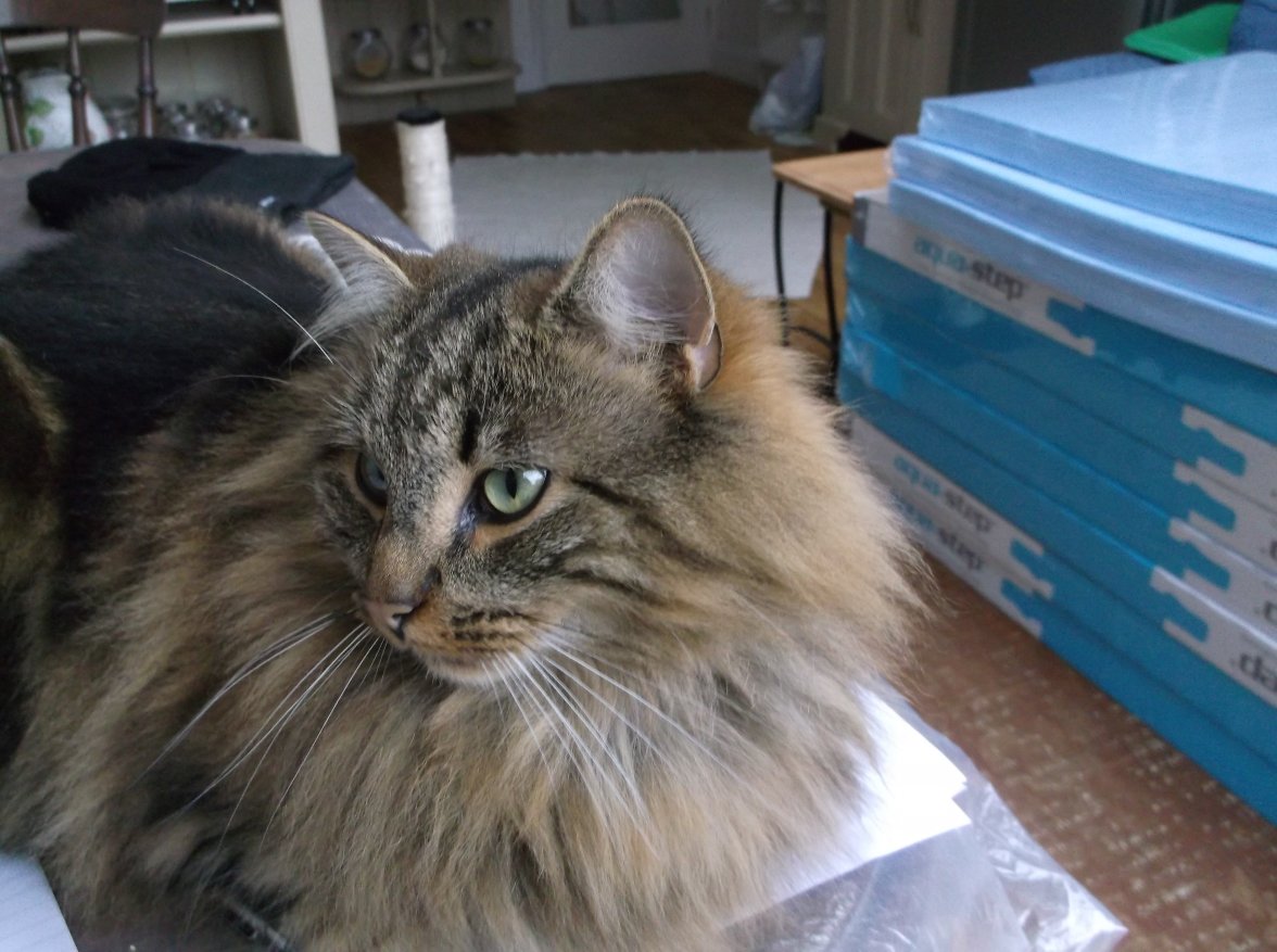 2015-12-06 13.58.00.jpg