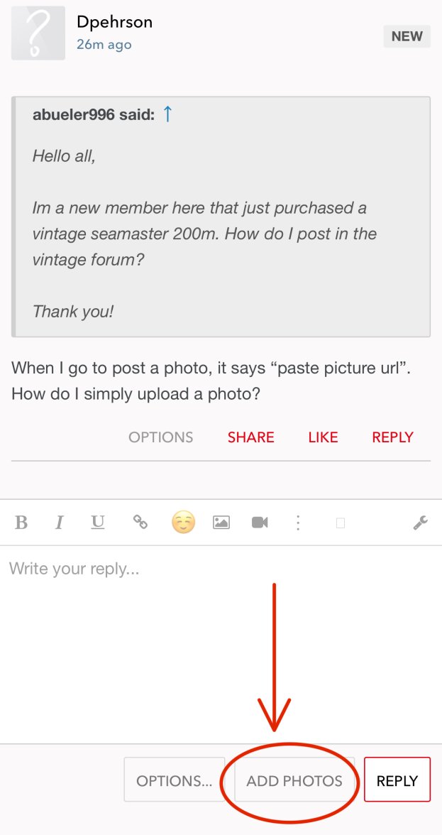 IMG_7041.jpeg IMG_7041.jpeg