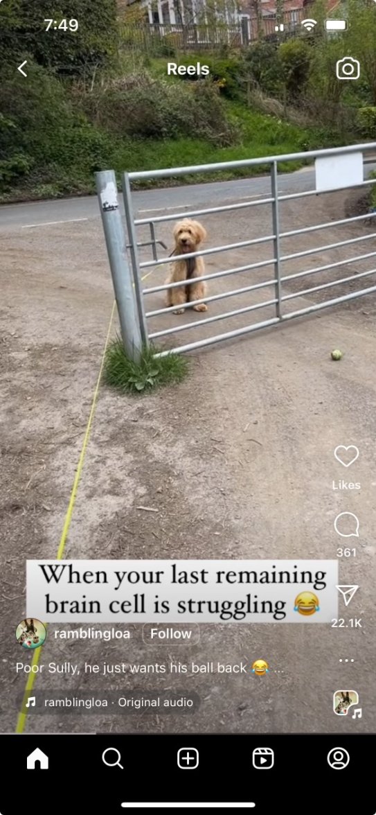 Screenshot 2024-05-22 at 7.49.35 AM.jpeg