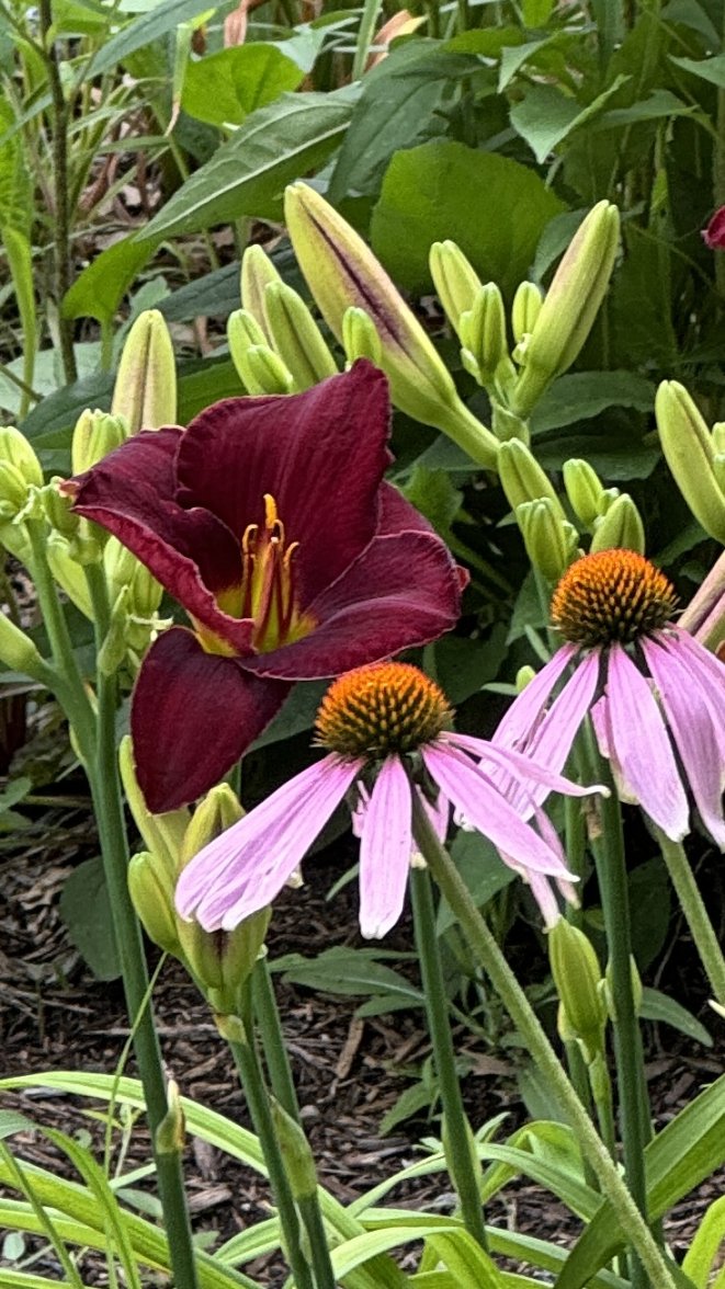 IMG_4407.jpeg