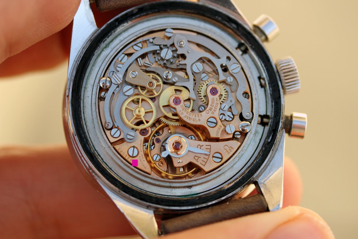 IMG_4033.jpg IMG_4033.jpg