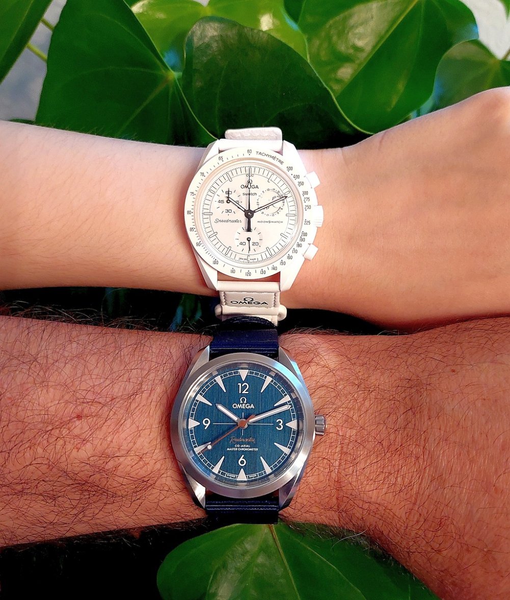 OmegaOmegaSwatchS.jpg