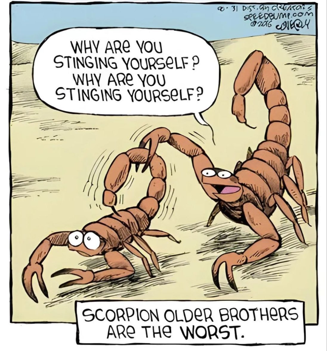scorpions.jpg