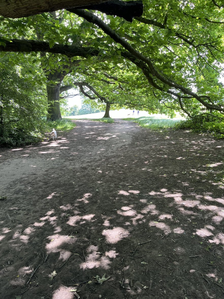 IMG_0055.jpeg IMG_0055.jpeg