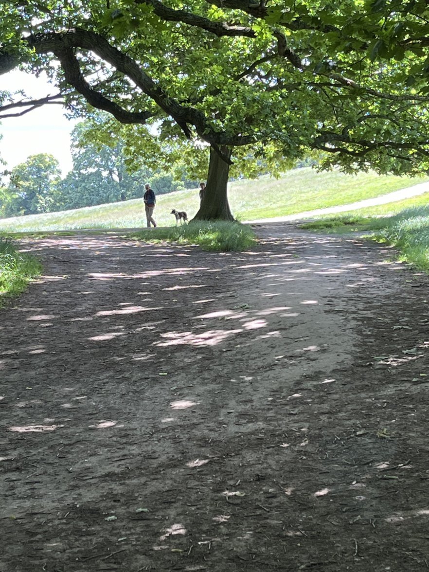 IMG_0056.jpeg IMG_0056.jpeg