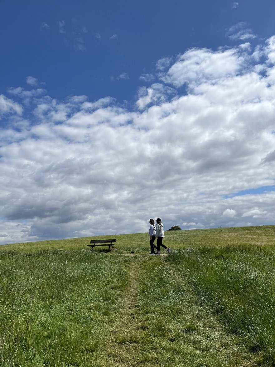 IMG_0059.jpeg IMG_0059.jpeg