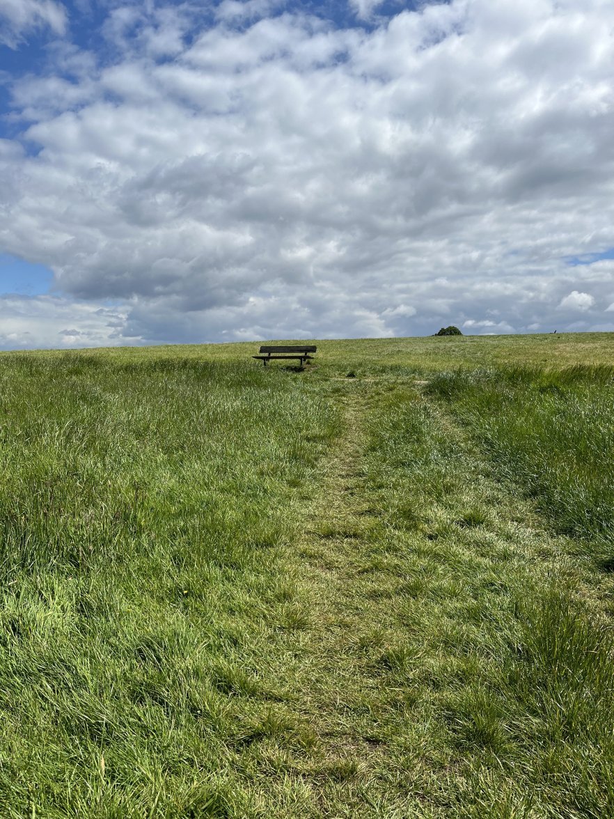 IMG_0058.jpeg IMG_0058.jpeg