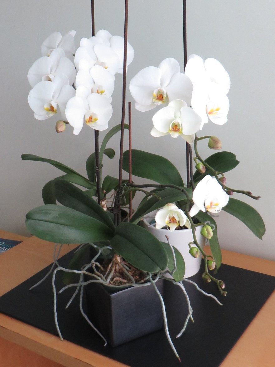 IMG_3151.jpg IMG_3151.jpg