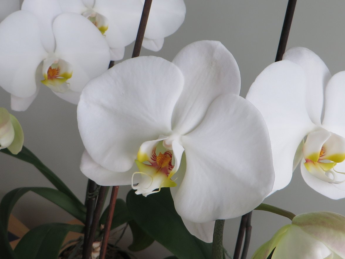 IMG_3150.jpg IMG_3150.jpg