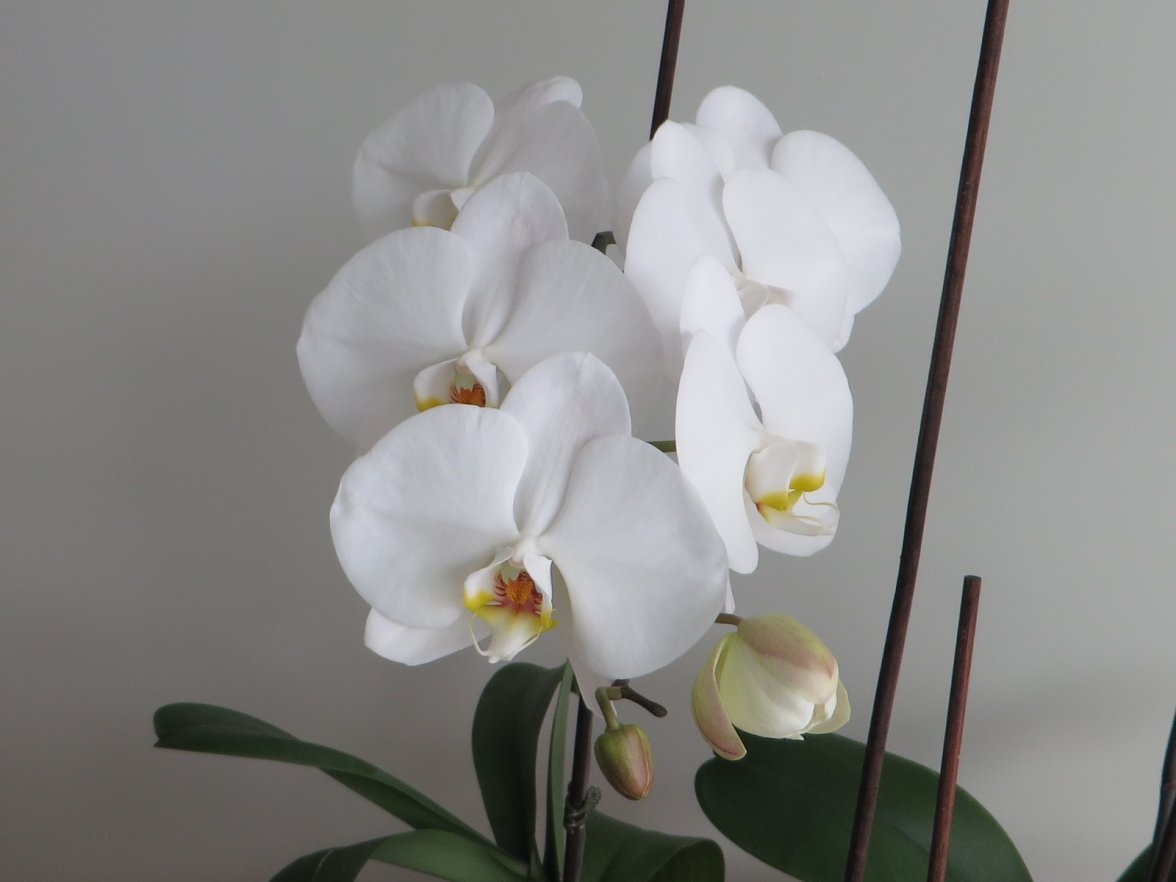 IMG_3148.jpg IMG_3148.jpg