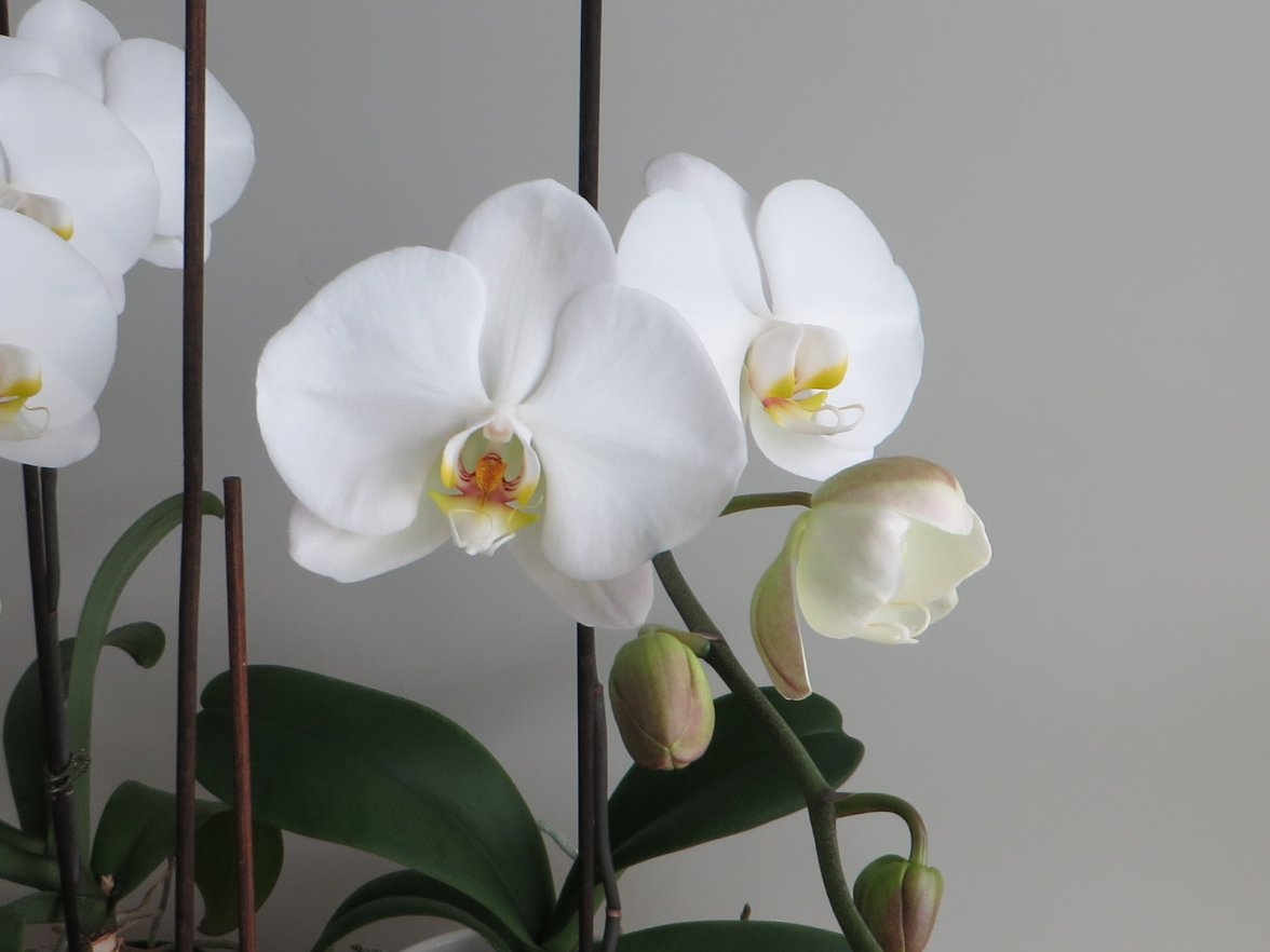 IMG_3147.jpg IMG_3147.jpg