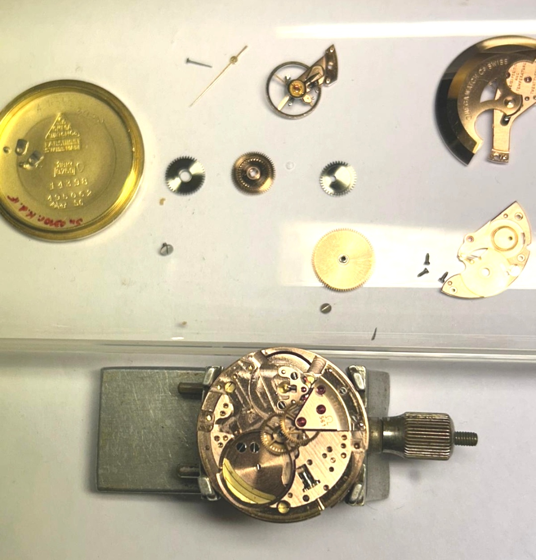 watchmaker doc (1).jpg