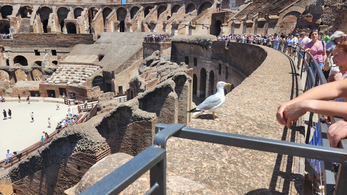 bird2.jpg