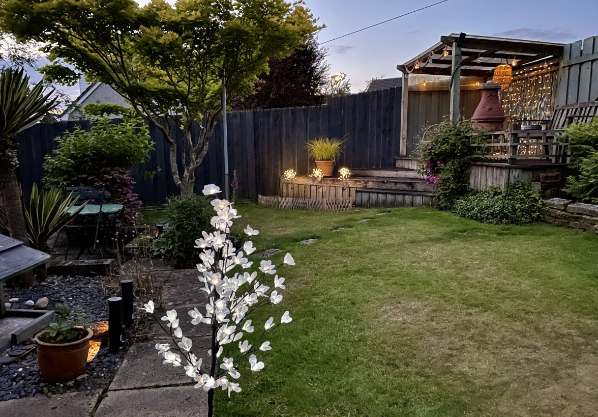 IMG_3980.jpeg IMG_3980.jpeg