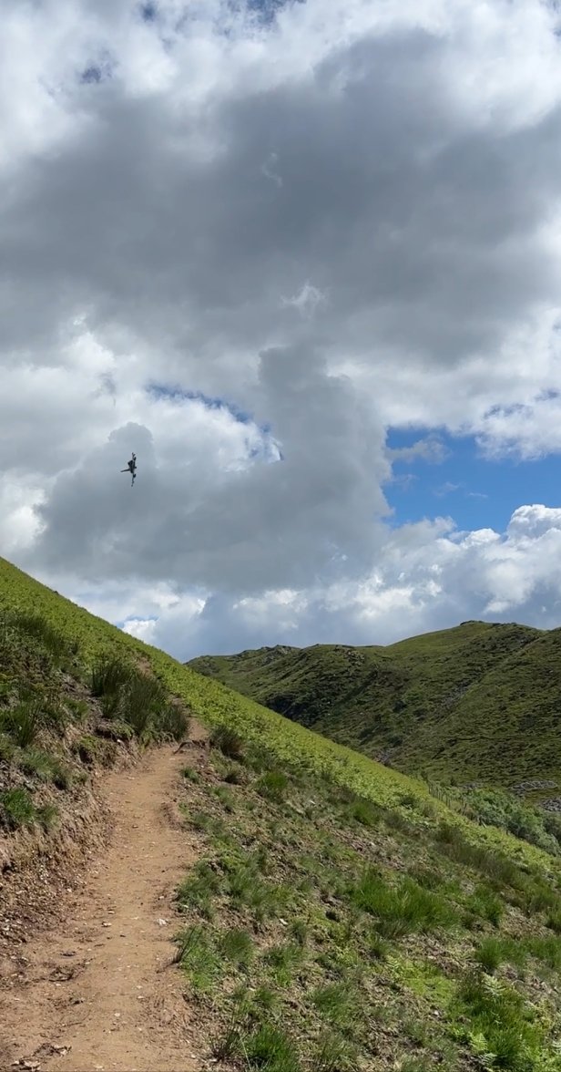 IMG_2553.jpeg IMG_2553.jpeg