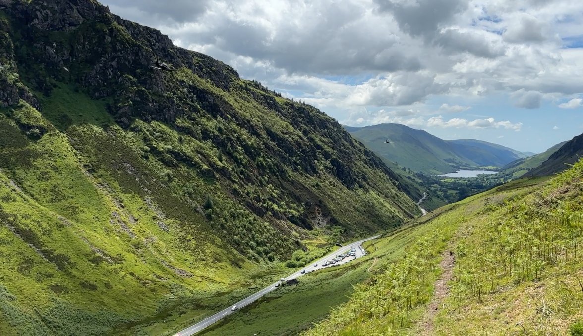 IMG_2556.jpeg IMG_2556.jpeg