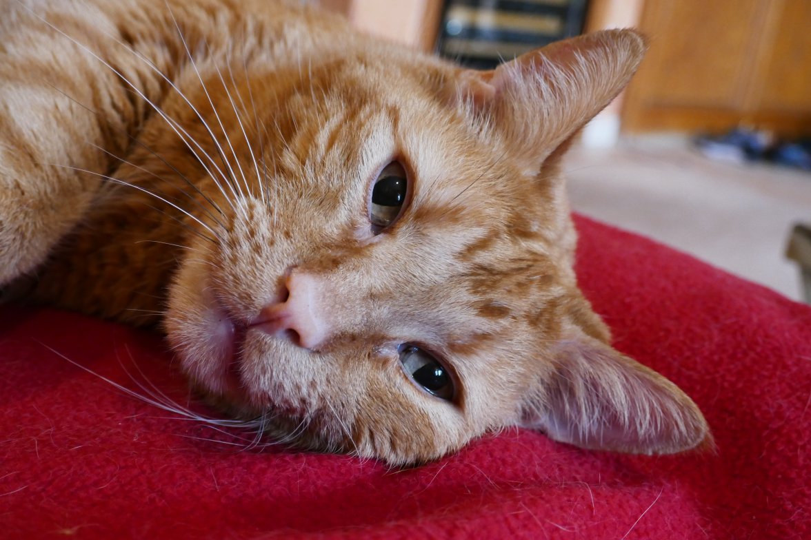 P1010096.JPG P1010096.JPG