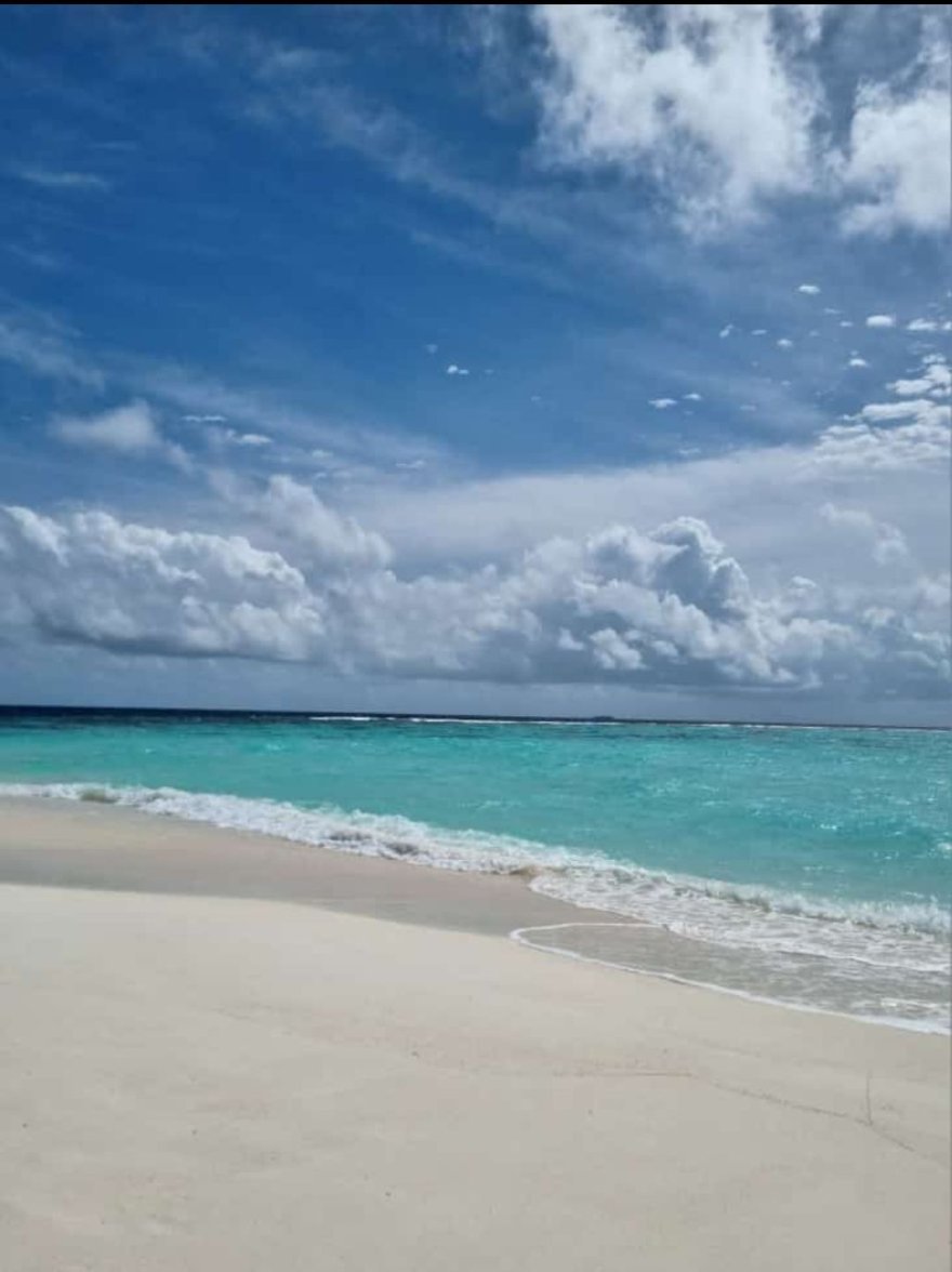 maldive (8).jpg maldive (8).jpg