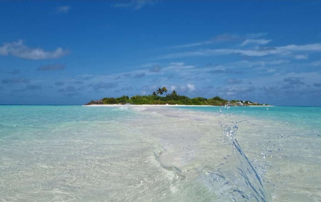 maldive (17).jpg maldive (17).jpg