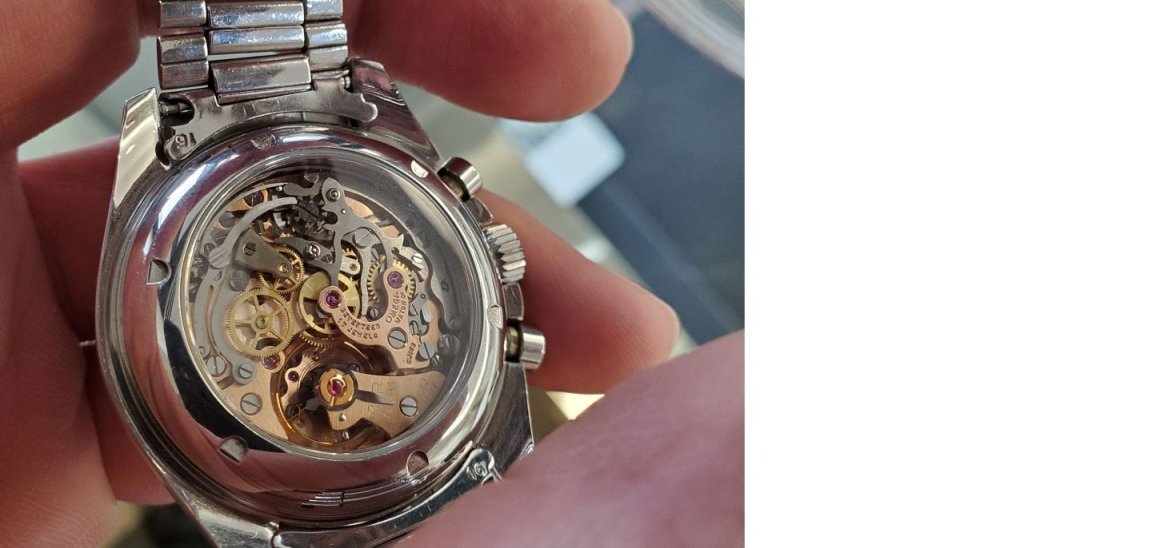 SPD ws 2b back 20240702_070956.jpg