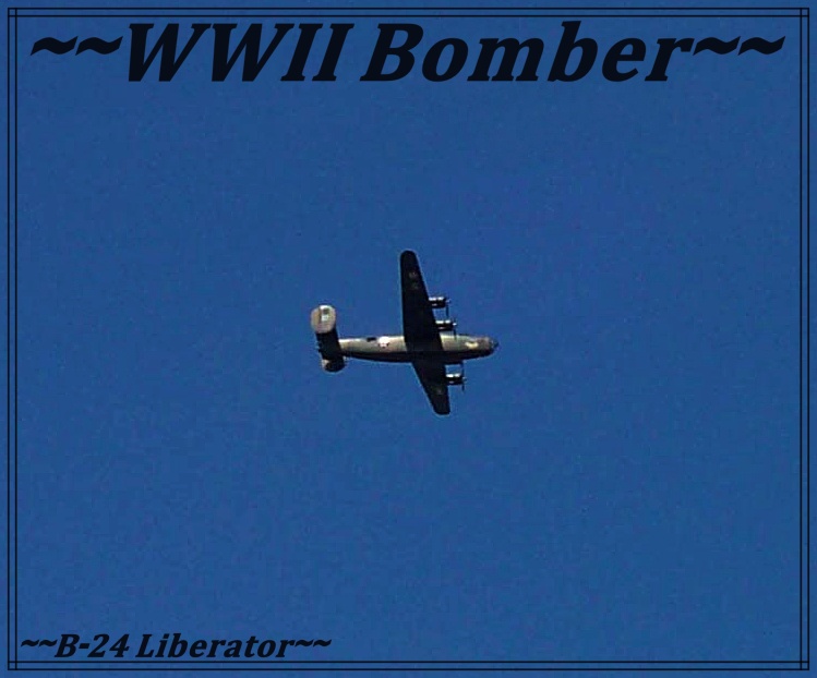 b24.jpg