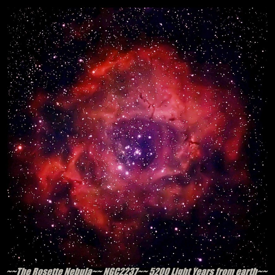 rosette nebula.jpg