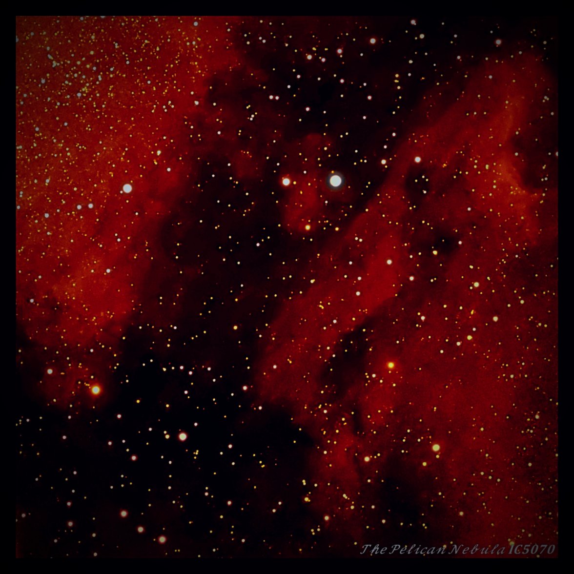 Pelican Nebula.jpg