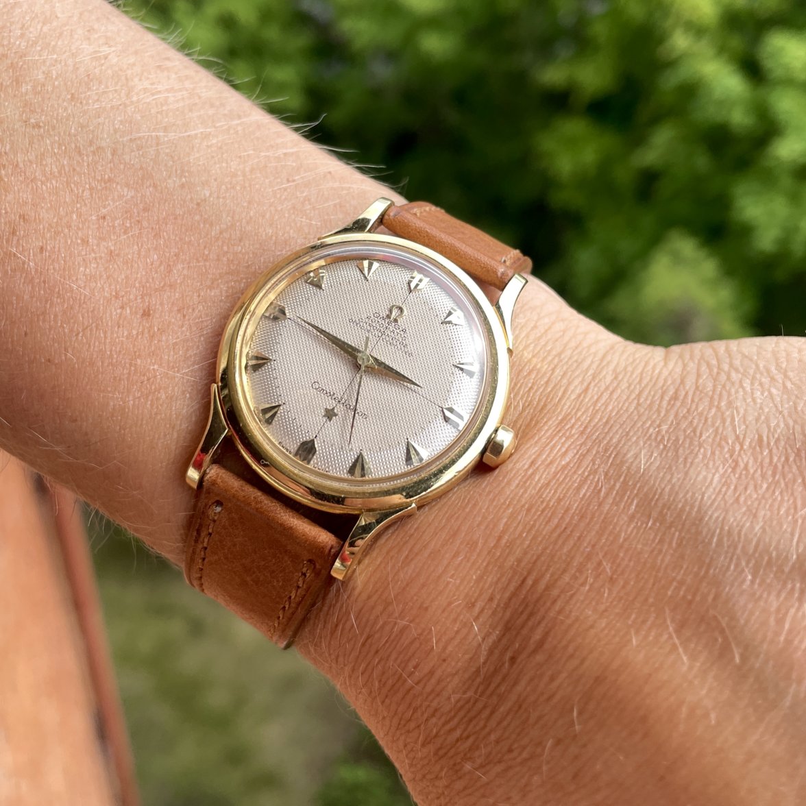 IMG_5570.jpg IMG_5570.jpg