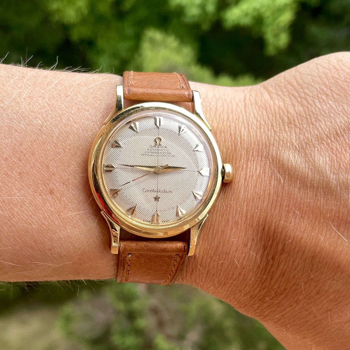 IMG_5579.jpg IMG_5579.jpg