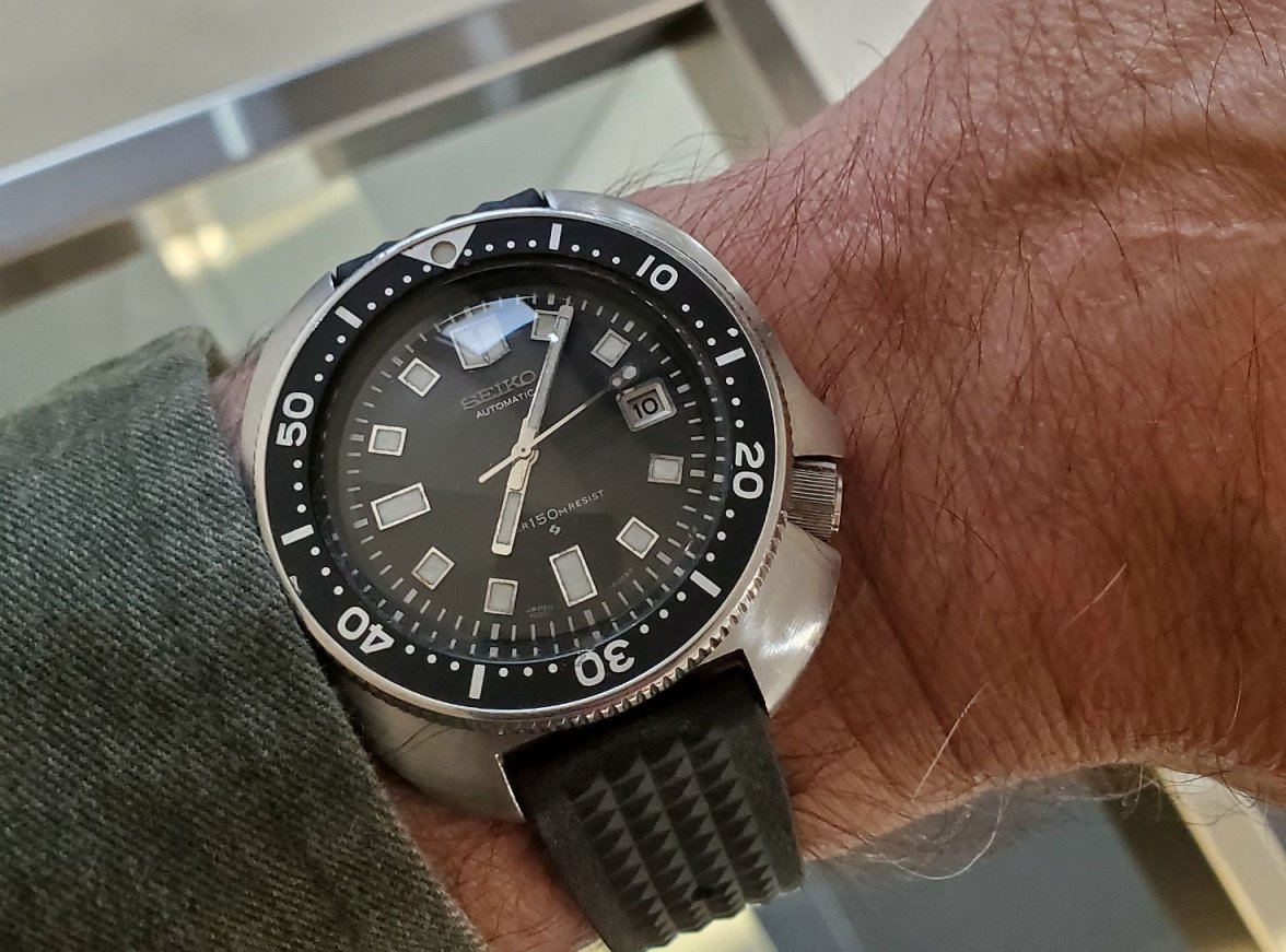 Willard ws 3 20240710_070614.jpg