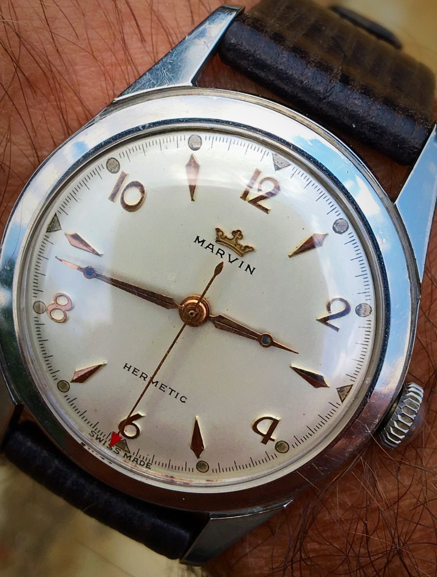 photo jul 24, 3 04 15 pm.jpeg