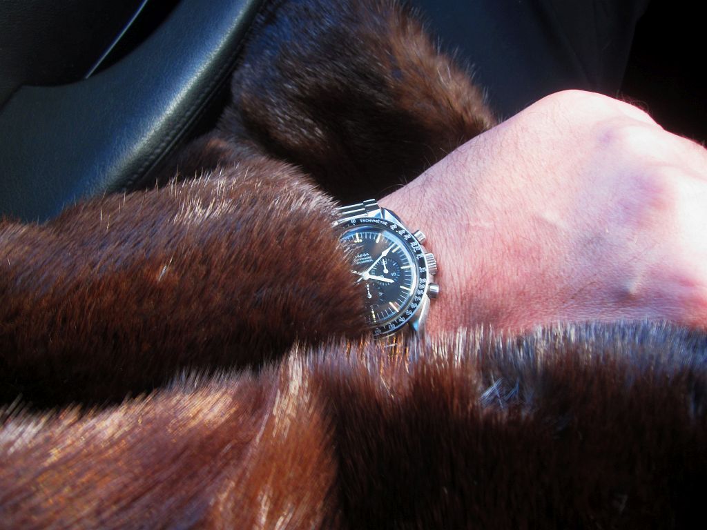 SP otter ws 4 IMG_0808.jpg