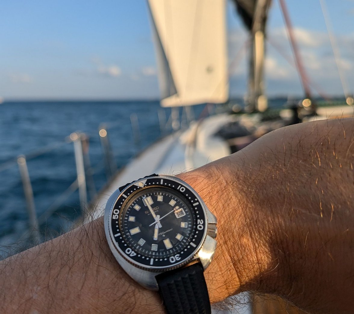 Willard ws 3 PXL_20240714_235926299.jpg