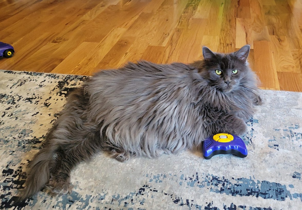 1000015158.jpg 1000015158.jpg